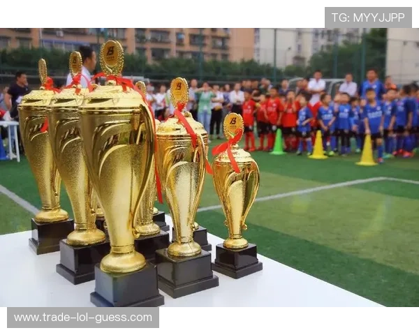 足球明星托雷斯参赛证挂件独特设计再现经典瞬间展现足球精神